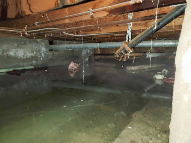 Best Emergency water extraction  in Kurtistown, HI