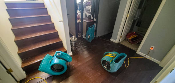 Best Flooded house restoration  in Kurtistown, HI