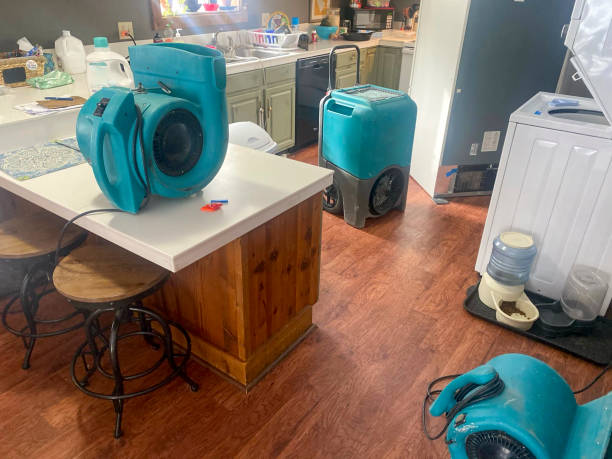 Best Water damage cleanup near me  in Kurtistown, HI