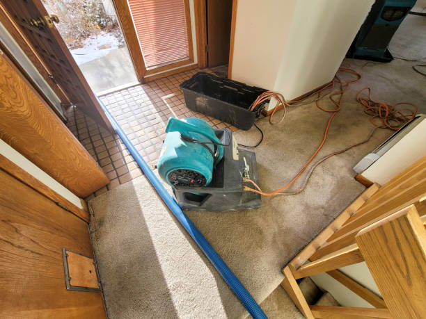 Best 24-hour water damage restoration  in Kurtistown, HI