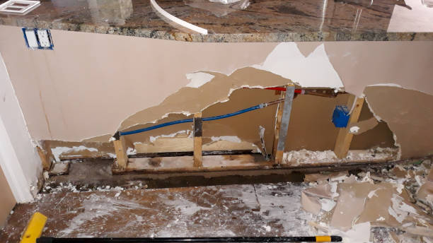 Best Carpet water damage restoration  in Kurtistown, HI