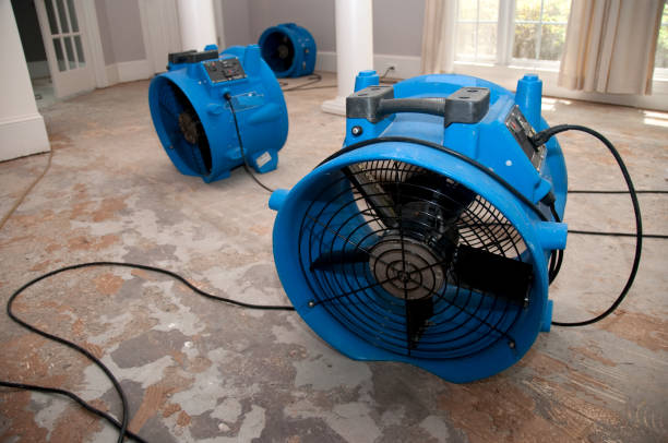 Best Commercial water damage restoration  in Kurtistown, HI