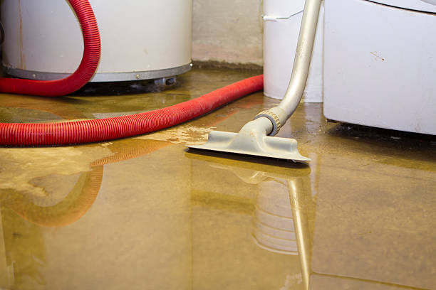 Professional Water damage restoration in Kurtistown, HI