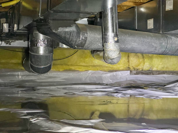 Best 24/7 water damage repair  in Kurtistown, HI