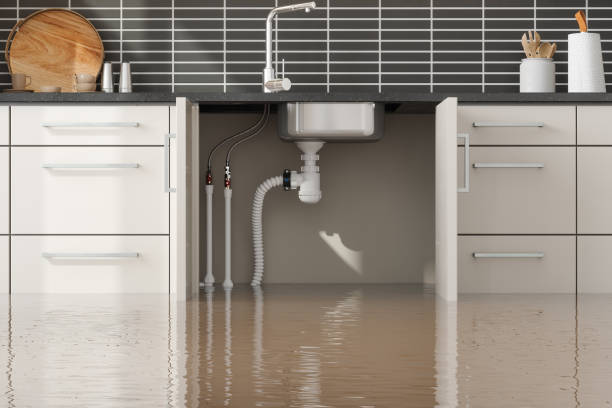 Best Flood damage cleanup  in Kurtistown, HI
