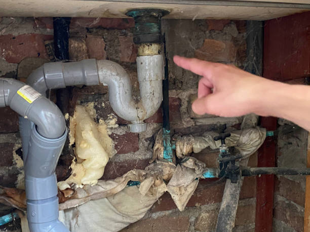 Best Mold removal after water damage  in Kurtistown, HI